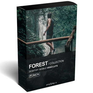 40+ Premium Forest and Rainy Season Moody Luts